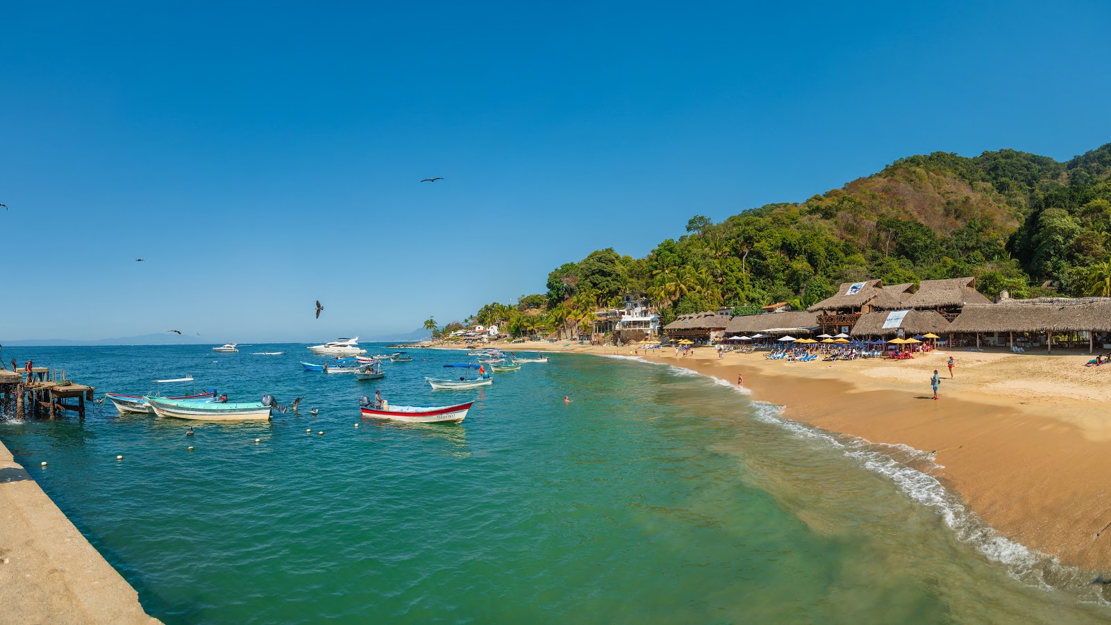 The 5 Best Beaches to Visit by Yacht in Puerto Vallarta Las Animas Beach